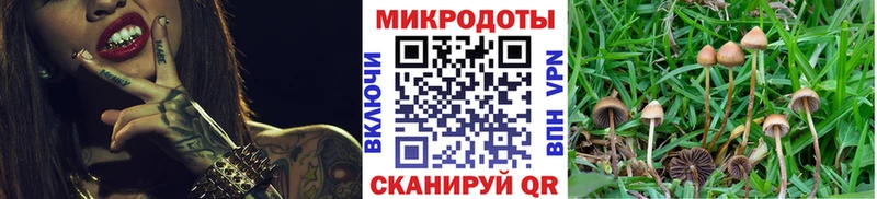 продажа наркотиков  Спас-Клепики  Галлюциногенные грибы мицелий 